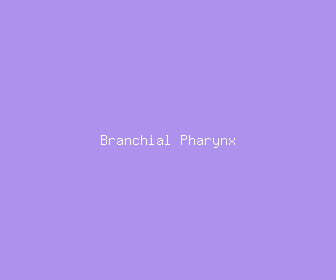 branchial pharynx meaning, definitions, synonyms
